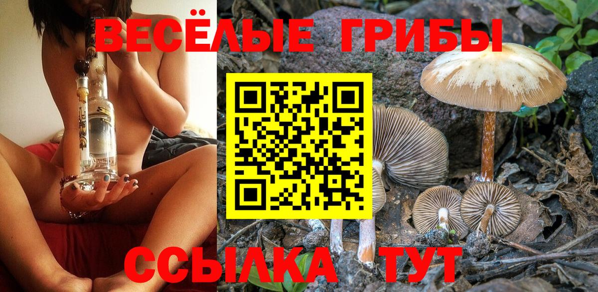 Галлюциногенные грибы Psilocybe Железноводск